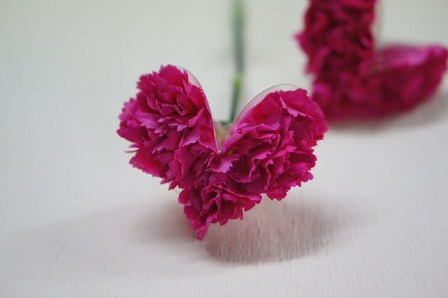 母の日の花贈り