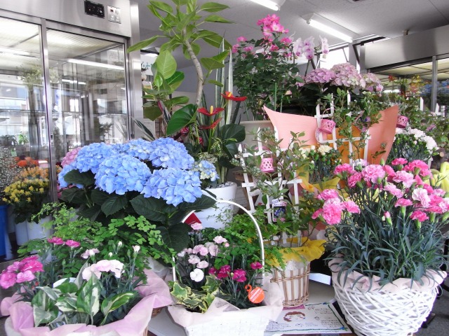 花屋 店舗内観