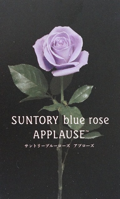 店頭にて一度ご覧ください