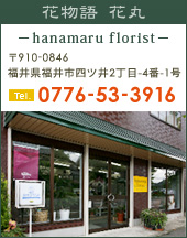 ���䌧����s�l�c��2����4��1��